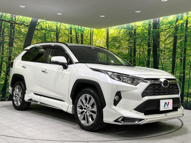 ＲＡＶ４ Ｇ　Ｚパッケージ　モデリスタエアロ　ＢＩＧＸ９型ナビ　衝突被害軽減　バックカメラ　ＥＴＣ　電動リアゲ―ト　Ｂｌｕｅｔｏｏｔｈ　ドライブレコーダー　デジタルインナーミラー　ＬＥＤヘッドライト　レーダークルーズコントロール（54枚目）