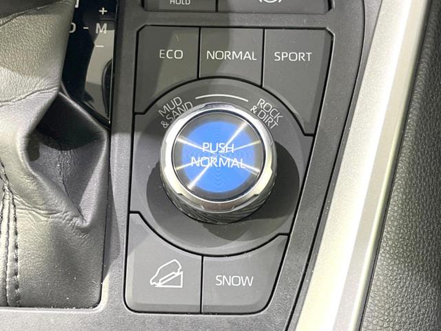 ＲＡＶ４ アドベンチャー　オフロードパッケージ　全周囲カメラ　９型ディスプレイ　ＥＴＣ　ドラレコ　ブラインドスポットモニター　レーダークルーズコントロール　スマートキー　革巻きステアリング　ＬＥＤヘッドライト　オートエアコン　コーナーセンサー（40枚目）