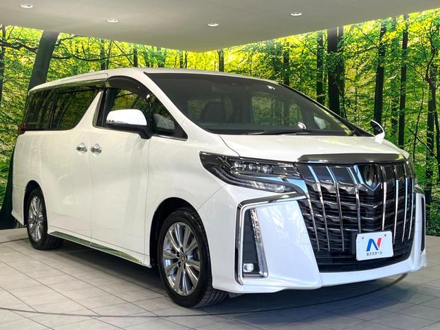 アルファード ２．５Ｓ　タイプゴールド　後期　禁煙車　純正９型ナビ　後席モニター　バックカメラ　デジタルインナーミラー　両側電動ドア　セーフティセンス　レーダークルーズ　電動リアゲート　ドラレコ　ＥＴＣ　ブラインドスポットモニター（17枚目）