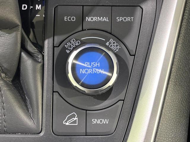 ＲＡＶ４ アドベンチャー　オフロードパッケージＩＩ　禁煙車　１０．５型ディスプレイオーディオ　バックカメラ　ドラレコ　ＥＴＣ　セーフティセンス　レーダークルーズ　パワーシート　シートベンチレーション　デジタルインナーミラー　ブラインドスポットモニター（64枚目）