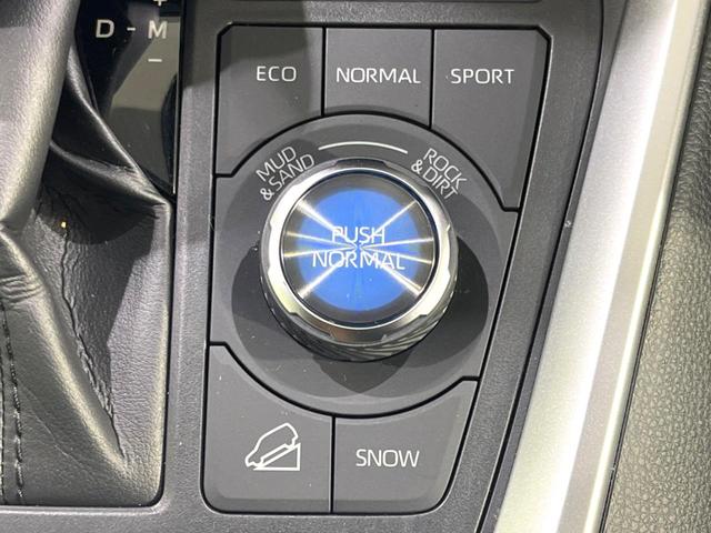 RAV4 アドベンチャー 禁煙車 サンルーフ TRDエアロ 9型ナビ ブラインドスポットモニター シートクーラー セーフティセンス パワーシート バックカメラ ETC ドラレコ クリアランスソナー レーダークルコン(52枚目)