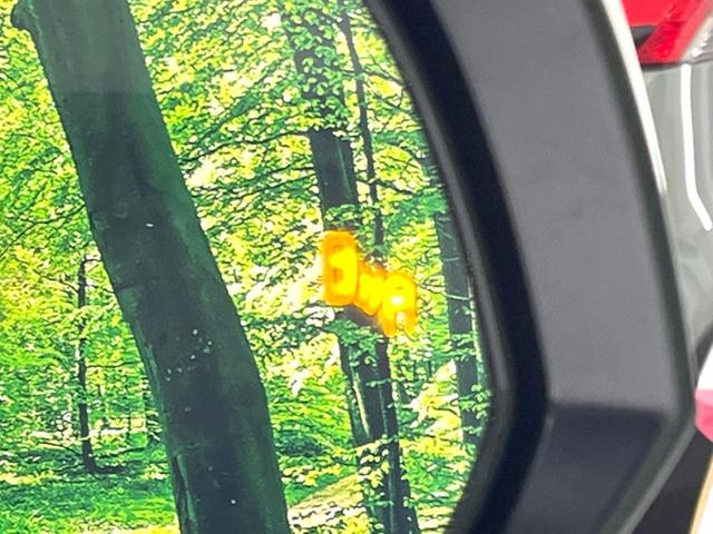 アルファード 2.5S Cパッケージ 禁煙車 11型BIG-X バックカメラ フリップダウンモニター ムーンルーフ 電動リアゲート 両側電動ドア 快適温熱シート ETC ドラレコ ブラインドスポットモニター デジタルインナーミラー(41枚目)