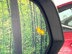 ڥ֥饤ɥݥåȥ˥桢ɥߥ顼λѤˤʤ䤹ս˸³֤᤹ܶȥɥߥ顼Υ󥺤˷ٹɽɥ饤Сմ򤷤Ƥޤ 6