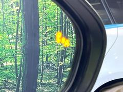 ڥ֥饤ɥݥåȥ˥桢ɥߥ顼λѤˤʤ䤹ս˸³֤᤹ܶȥɥߥ顼Υ󥺤˷ٹɽɥ饤Сմ򤷤Ƥޤ 6