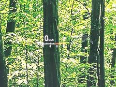 ڥإåɥåץǥץ쥤۸ߤ®٤ԾǥɽǱžΥ饹ơž桢򤺤餵ɬפʾǧǤΤǤȤäƤǰ¿ 7