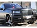 　正規Ｄ車　スターヘッドライナー（56枚目）