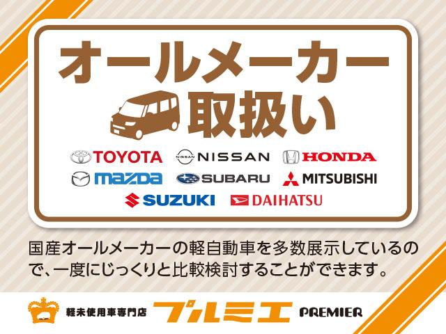 ストライプスＸ　届出済未使用車　衝突軽減ブレーキ　両側電動スライドドア　アイドリングストップ　オートエアコン　スマートキー　プッシュスタート　軽自動車(39枚目)