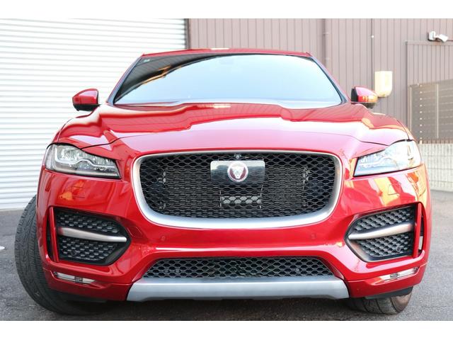 外で写真をとりました。艶感がおわかり頂けると思います。