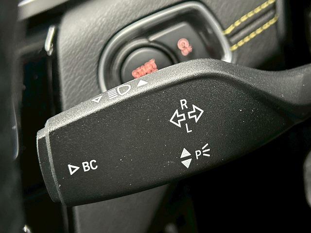 X2 xDrive 18d MスポーツX メーカーナビ/シートヒーター/パワーテールゲート/アダプティブクルーズコントロール/LEDヘッドライト/クリアランスソナー/バックモニター/ETC/プッシュスタート/純正アルミホイール(28枚目)