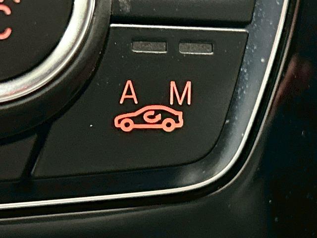 X2 xDrive 18d MスポーツX メーカーナビ/シートヒーター/パワーテールゲート/アダプティブクルーズコントロール/LEDヘッドライト/クリアランスソナー/バックモニター/ETC/プッシュスタート/純正アルミホイール(34枚目)