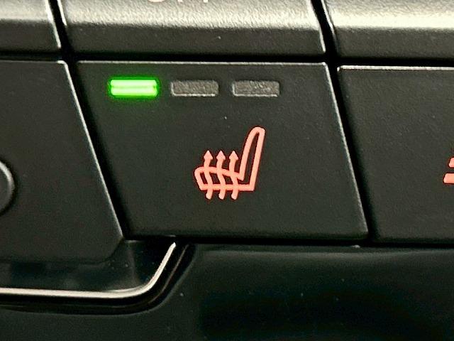 X2 xDrive 18d MスポーツX メーカーナビ/シートヒーター/パワーテールゲート/アダプティブクルーズコントロール/LEDヘッドライト/クリアランスソナー/バックモニター/ETC/プッシュスタート/純正アルミホイール(35枚目)