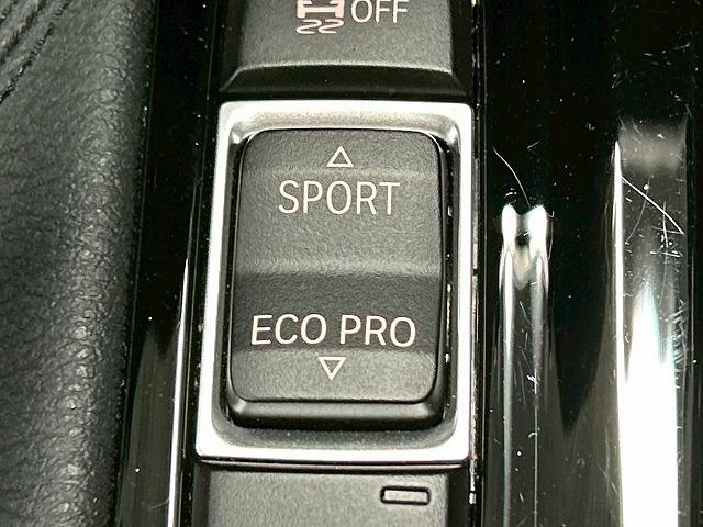 X2 xDrive 18d MスポーツX メーカーナビ/シートヒーター/パワーテールゲート/アダプティブクルーズコントロール/LEDヘッドライト/クリアランスソナー/バックモニター/ETC/プッシュスタート/純正アルミホイール(45枚目)