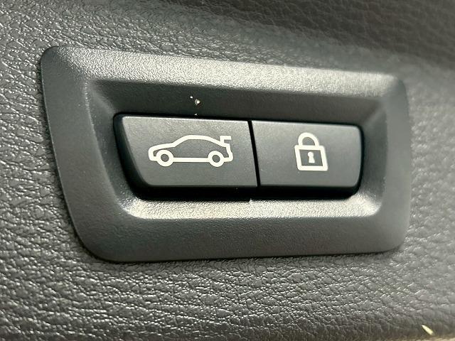 X2 xDrive 18d MスポーツX メーカーナビ/シートヒーター/パワーテールゲート/アダプティブクルーズコントロール/LEDヘッドライト/クリアランスソナー/バックモニター/ETC/プッシュスタート/純正アルミホイール(54枚目)