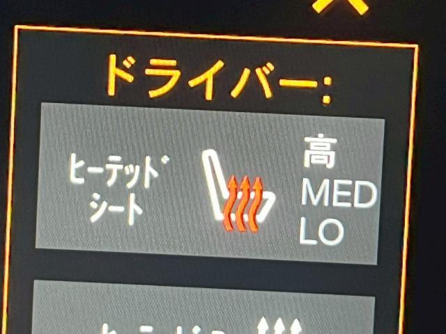 ジープ・ラングラーアンリミテッド サハラ　アルティテュード　限定２１０台／１オーナー／黒革／シートヒーター／ＡｐｐｌｅＣａｒＰｌａｙ／ブラインドスポット／アダプティブクルーズコントロール／ステアリングヒーター／バックモニター／サイドカメラ／フロントカメラ（32枚目）