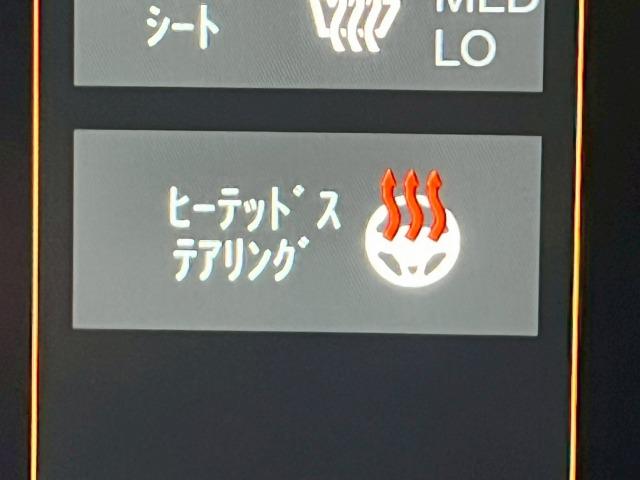 ジープ・ラングラーアンリミテッド サハラ　アルティテュード　限定２１０台／１オーナー／黒革／シートヒーター／ＡｐｐｌｅＣａｒＰｌａｙ／ブラインドスポット／アダプティブクルーズコントロール／ステアリングヒーター／バックモニター／サイドカメラ／フロントカメラ（33枚目）