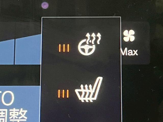 ＸＣ９０ Ｂ６　ＡＷＤ　インスクリプション　Ｂｏｗｅｒ＆Ｗｉｌｌｋｉｎｓ／ＡｐｐｌｅＣａｒＰｌａｙ／ベンチレーション／サンルーフ／レーダークルーズコントロール／シートヒーター／ステアリングヒーター／パワーシート／パワーバックドア（32枚目）