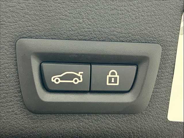 X4 xDrive28i M Sport RHD ユーザー買取/茶革シート/全周囲カメラ/ETC車載器/レーダークルーズコントロール/パワーシート/パワーバックドア/Bluetooth接続/プッシュスタート/ステアリングスイッチ/シートヒーター(9枚目)