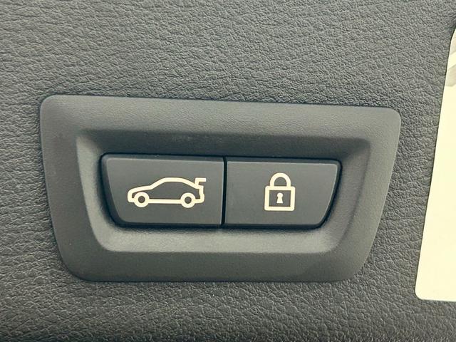 X4 xDrive28i M Sport RHD ユーザー買取/茶革シート/全周囲カメラ/ETC車載器/レーダークルーズコントロール/パワーシート/パワーバックドア/Bluetooth接続/プッシュスタート/ステアリングスイッチ/シートヒーター(48枚目)