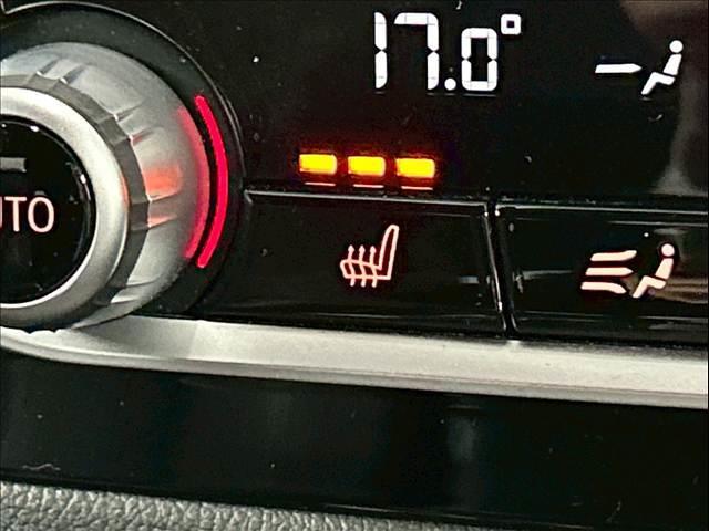 X3 xDrive 20d Mスポーツ 全周囲カメラ/フルセグ/茶革/シートヒーター/クリアランスソナー/パワーシート/ブラインドアシスト/電動リアゲート/アダプティブクルーズコントロール/プッシュスタート/LEDヘッド/パドルシフト(10枚目)