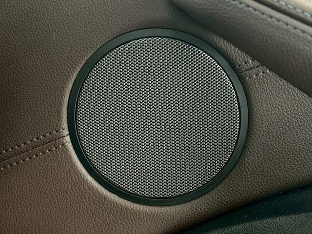 X3 xDrive 20d Mスポーツ 全周囲カメラ/フルセグ/茶革/シートヒーター/クリアランスソナー/パワーシート/ブラインドアシスト/電動リアゲート/アダプティブクルーズコントロール/プッシュスタート/LEDヘッド/パドルシフト(43枚目)