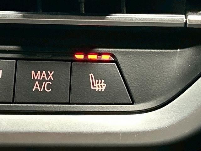 Ｘ４ ｘＤｒｉｖｅ　２０ｄ　Ｍスポーツ　サンルーフ／ＡｐｐｌｅＣａｒｐｌａｙ／全周囲カメラ／ＢＳＭ／バーチャルコックピット／フルセグ／クリアランスソナー／シートヒーター／Ｗエアコン／パワーシート／茶革シート／アダプティブクルコン／電動リア（10枚目）