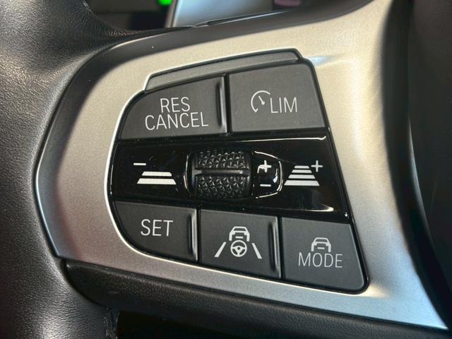 X5 xDrive 35d 全周囲カメラ シートヒーター 黒革シート LEDヘッドライト アダクティブクルーズコントロール ヘッドアップディスプレイ ETC シートヒーター パワーシート 電動リアゲート アイドリングストップ(31枚目)