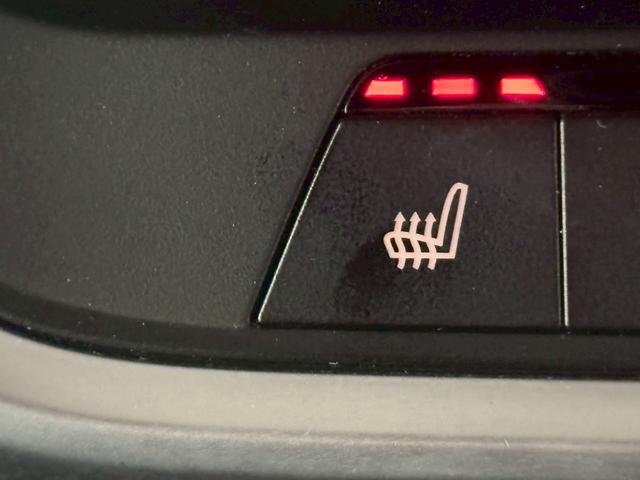 X5 xDrive 35d 全周囲カメラ シートヒーター 黒革シート LEDヘッドライト アダクティブクルーズコントロール ヘッドアップディスプレイ ETC シートヒーター パワーシート 電動リアゲート アイドリングストップ(46枚目)