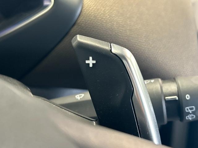 ＤＳ３クロスバック ソーシック　ナビゲーション／ＡｐｐｌｅＣａｒＰｌａｙ／アンドロイドオート／Ｂｌｕｅｔｏｏｔｈ／バックカメラ／アダプティブクルーズコントロール／ブラインドスポットモニターパドルシフト／ＬＥＤヘッドライト（49枚目）