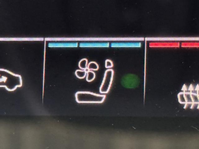 Ｑ８ ５５　ＴＦＳＩｑｕａｔｔｒｏｄｅｂｕｔｐａｃｋａｇｅ　パノラマサンルーフ／全周囲カメラ／メーカーナビ／フルセグテレビ／シートヒーター／ベンチレーション／アダプティブクルーズコントロール／パワーバックドア／ＢＡＮＧ＆ＯＬＵＦＦＤＥＮ／バーチャルコックピット（53枚目）