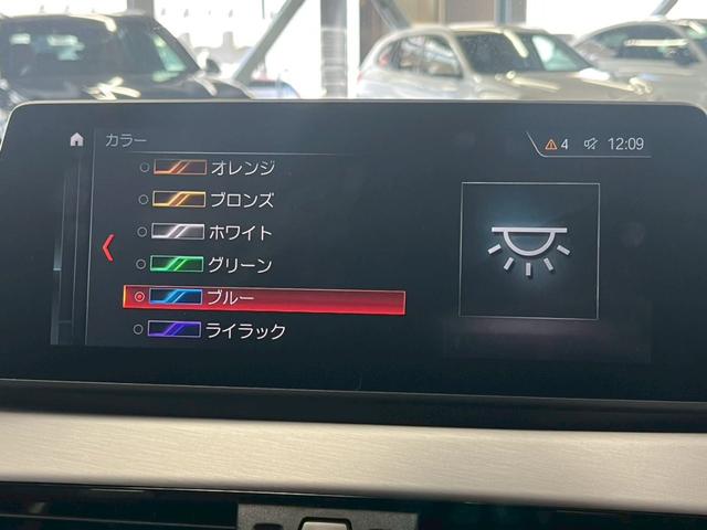 Ｘ１ ｘＤｒｉｖｅ　１８ｄ　Ｍスポーツ　純正ナビ／バックカメラ／Ｂｌｕｅｔｏｏｔｈ／アダプティブクルーズコントロール／電動リアゲート／パワーシート／シートメモリー／クリアランスソナー／アンビエントライト／電子パーキング／ＬＥＤヘッドライト（31枚目）