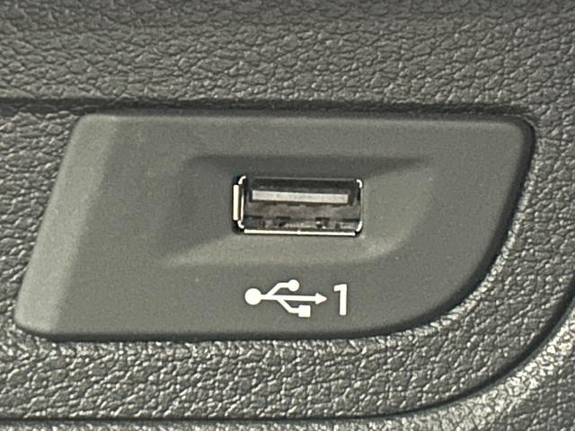 Ｑ２ １．０ＴＦＳＩスポーツ　ＡｐｐｌｅＣａｒｐｌａｙ／シートヒータ－／／ブラインドスポットモニター／電動リアゲート／アダクティブクルーズコントロール／レザーシート／アイドリングストップ／ＬＥＤヘッドライト／純正アルミ／（53枚目）