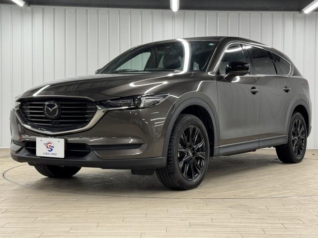 ＣＸ－８ ＸＤ　ブラックトーンエディション　特別仕様車／メーカーナビ／全周囲カメラ／Ｂｌｕｅｔｏｏｔｈ／フルセグＴＶ／シートヒーター／ステアリングヒーター／ブラインドスポットモニター／アダプティブクルーズコントロール／ＬＥＤヘッドライト（72枚目）