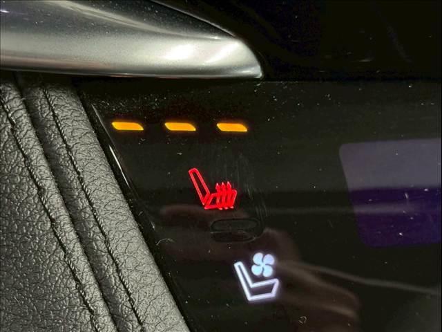 キャデラックＸＴ６ プラチナム　純正ディスプレイオーディオ／ＡｐｐｌｅＣａｒＰｌａｙ／アンドロイドオート／サンルーフ／ＢＯＳＥスピーカー／黒革シート／シートヒーター／ベンチレーション／電動リアゲート／アダプティブクルーズコントロール（11枚目）