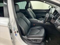 �ڥ���ƥꥢ�ۥ֥�å����Ĵ�Ȥ������������줿����ƥꥢ�ϰ츫�β��ͤ��ꡣ 7