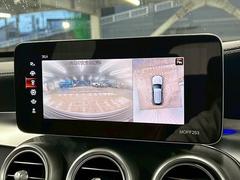 �������ϥ�˥����ۤ��������Ƥ���ޤ��������ϥ����Ǵ������Ρ�������־�Ǥ�¿�������֤Ǥ��ޤ��͡� 5