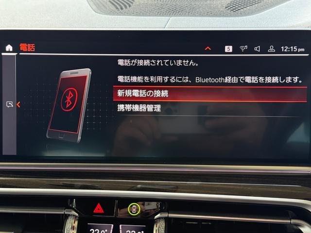 X6 xDrive 35d Mスポーツ 車検2年/ブラウンレザーシート/パノラマサンルーフ/ハーマンカードンサウンド/アラウンドビューモニター/純正アルミホイール/純正ナビ/シートヒーター/ベンチレーション/ミラーインETC/(77枚目)