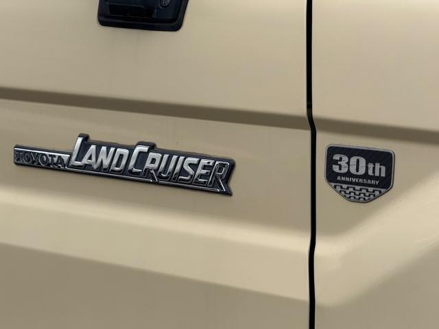 ランドクルーザー70 車検1年/ピックアップ/純正SDナビ/フルセグTV/ETC/5MT/Bluethooth/キーレス(49枚目)