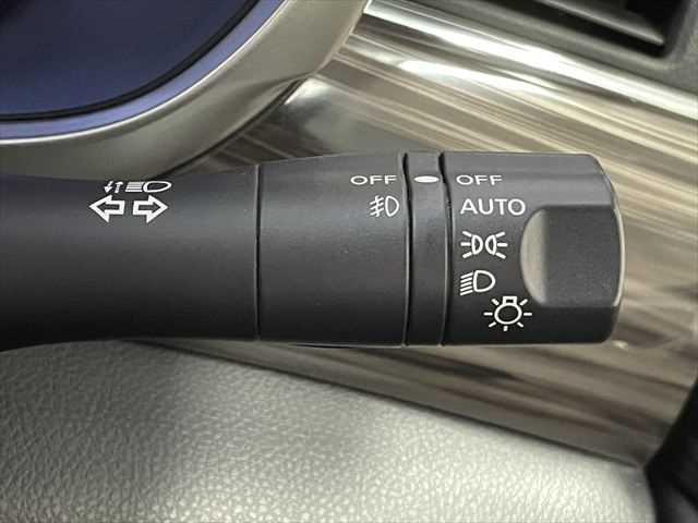 NISSAN ELGRAND 250HIGHWAY STAR S URBAN CHROME