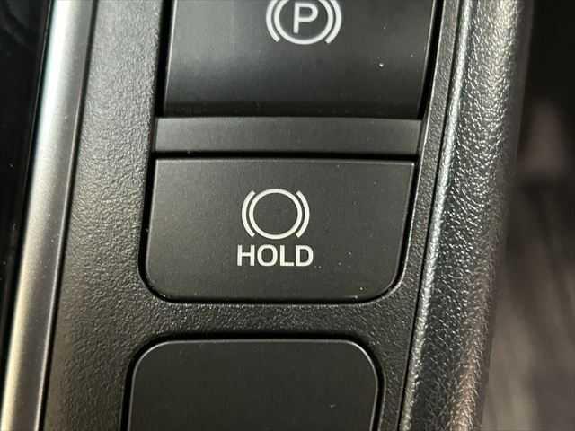 アルファード ２．５Ｓ　タイプゴールド　後期型　３眼ＬＥＤヘッドライト　９インチディスプレイオーディオＴＶ・ナビ　両側電動スライド　トヨタセーフティセンス　禁煙車　バックカメラ　オートマチックハイビーム　電動リアゲート　ハーフレザーシート（10枚目）