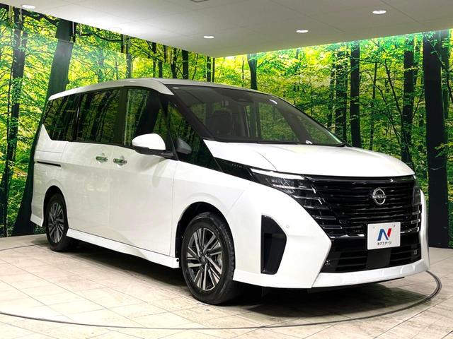 セレナ ハイウェイスターV 純正12インチディスプレイオーディオ 全周囲カメラ プロパイロット 衝突軽減 ETC ドラレコ 両側電動スライド 禁煙車 オートライト LEDヘッド オートエアコン 純正16インチアルミホイール(17枚目)