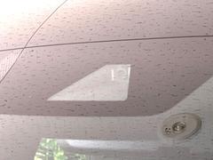 ڥȥ西եƥ󥹡μξǧͤʻϷȥ֥졼ǾͲﳲڸ򥢥ȡ˥ɥ饤֤򤪳ڤߤޤ 3