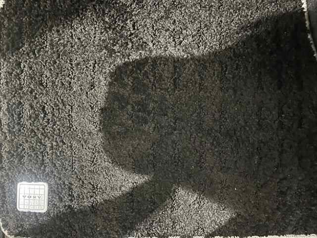 ヴォクシー ZS 煌 両側パワースライドドア 純正9インチナビ フリップダウンモニター 禁煙車 クルーズコントロール フルセグTV Bluetooth LEDヘッドライト バックカメラ ETC ドライブレコーダー(53枚目)