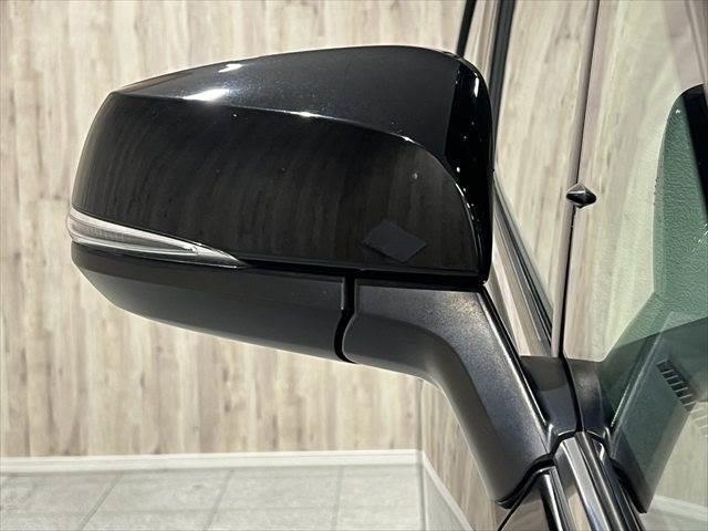 アルファード ２．５Ｓ　Ｃパッケージ　純正ＨＤＤナビ　全周囲カメラ　フリップダウンモニター　ＨＩＤヘッドライト　サンルーフ　両側パワースライドドア　フルセグＴＶ　Ｂｌｕｅｔｏｏｔｈ　禁煙車　スマートキー　コーナーセンサー（29枚目）