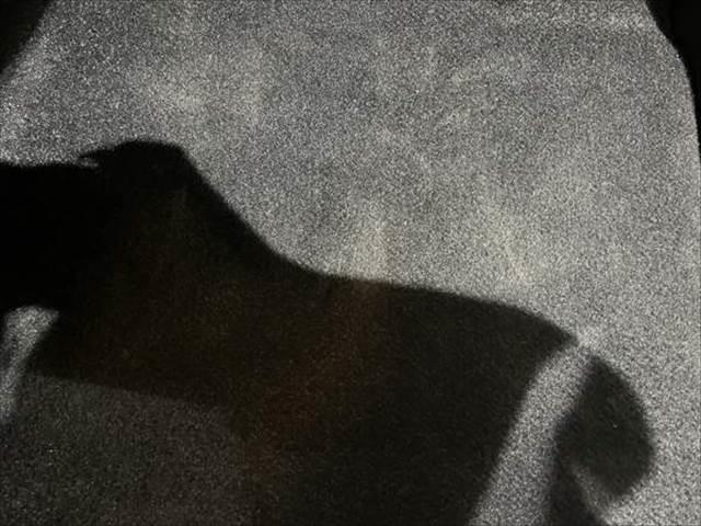 デリカD:5 P 純正10インチナビ 禁煙車 全方位カメラ レーダークルーズコントロール 両側パワースライドドア シートヒーター LEDヘッドライト 電動リアゲート パワーシート ETC Bluetooth(55枚目)