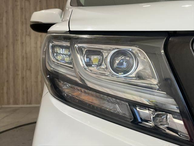 アルファード ２．５Ｓ　Ｃパッケージ　純正９インチナビ　禁煙車　クルーズコントロール　バックカメラ　両側パワースライドドア　電動リアゲート　フルセグＴＶ　Ｂｌｕｅｔｏｏｔｈ　ハーフレザーシート　パワーシート　ＬＥＤヘッドライト（23枚目）