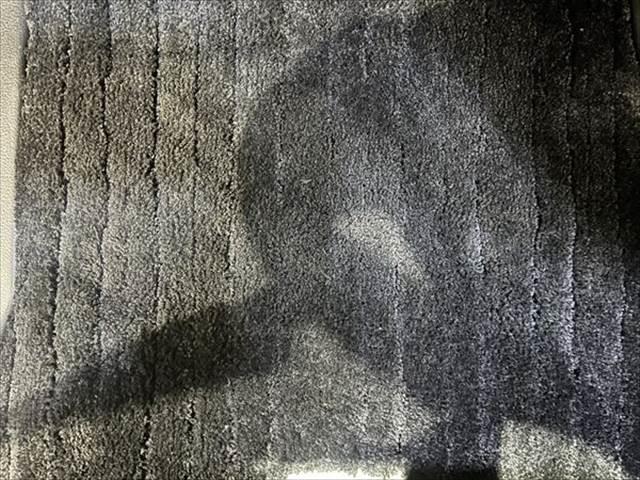 エルグランド 250ハイウェイスター メーカーナビ アラウンドビューモニター フルセグTV 禁煙車 HIDヘッドライト 両側パワースライドドア シートヒーター Bluetooth ETC クリアランスソナー 1500W給電 純正18インチ(52枚目)