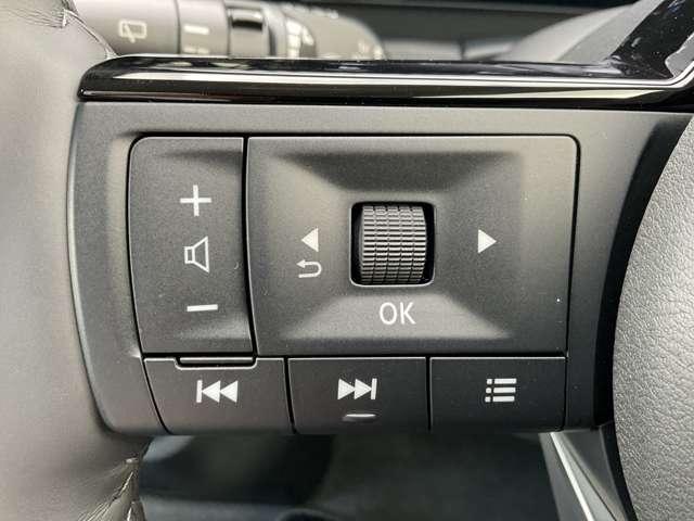 セレナ ｅ－４ＯＲＣＥ　ハイウェイスターＶ　１．４　ｅ－４ＯＲＣＥ　ハイウェイスターＶ　４ＷＤ　雹害車　メーカー装着メモリーナビ（16枚目）