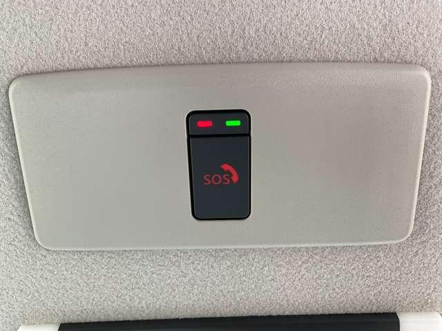 キックス １．２　Ｘ　（ｅ－ＰＯＷＥＲ）　雹害車　プロパイロット（15枚目）