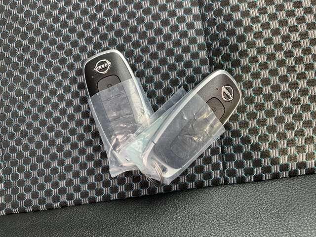 キックス １．２　Ｘ　（ｅ－ＰＯＷＥＲ）　雹害車　プロパイロット（17枚目）