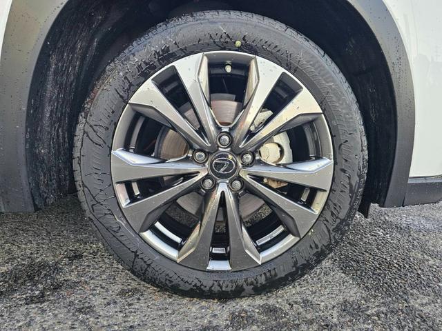 UX UX250h Fスポーツ ワンオーナー 禁煙車 ムーンルーフ 赤レザーシート 全方位カメラ ドラレコ前後 置くだけ充電 メーカーナビ フルセグテレビ パワーシート シートヒーター ステアリングヒーター パワーバックドア(56枚目)